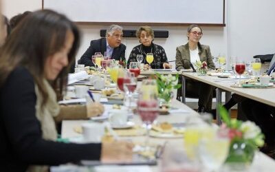 Ministra de Obras Públicas se reúne con Comité Experto Asesor del PNIP 2025-2055