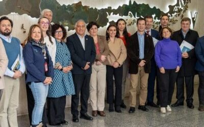 Subsecretario de Obras Públicas presenta avances del Plan Nacional de Infraestructura Pública 2025-2055 a Comité Experto Asesor